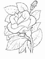 Coloring Rose Flower Pages sketch template