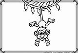 Coloring Pages Cute Monkey Bananas sketch template