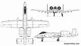 Thunderbolt A10 Fairchild Warthog Blueprints Blueprint Attendibili Realizzare Trittici Cerco Blueprintbox Baronerosso Militares Armamentos Veiculos sketch template