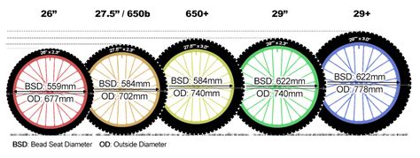 Bike Wheel Sizes Explained In Depth Guide And Helpful Tips