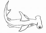 Shark Coloring Lemon Great Getcolorings sketch template