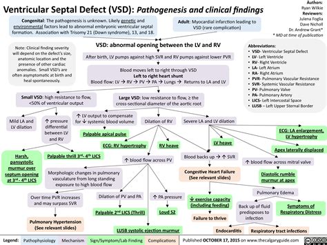 ventricular septal defect vsd pathogenesis  clinical findings