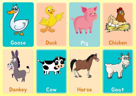 animals cards printable flash cards animals printable etsy