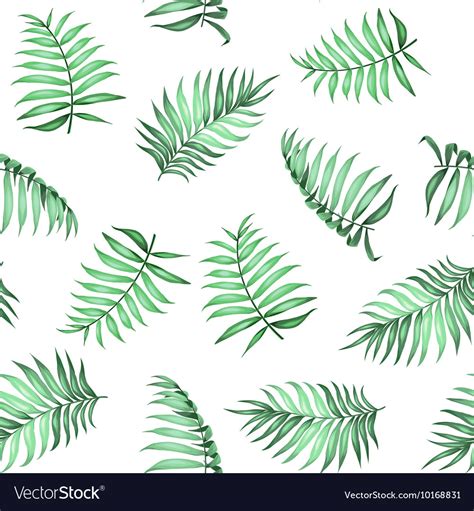 printable palm leaf pattern   palm leaf stock  pictures