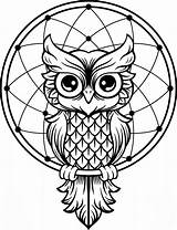 Catcher Dream Owl Mandala Dreamcatcher sketch template