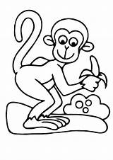 Banana Coloring Pages Monkey Kids sketch template