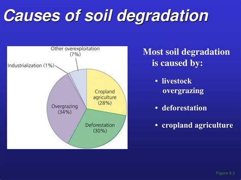 chapter  food soil resources powerpoint
