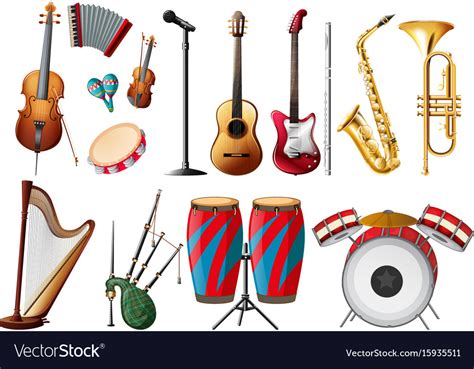 types  musical instruments royalty  vector