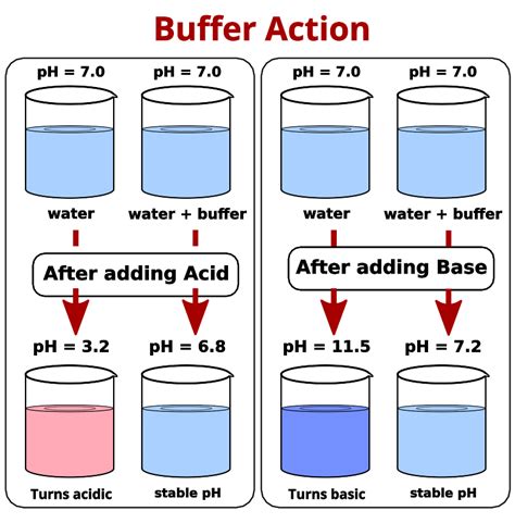 buffer solutions principle  mechanism   action psiberg