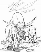 Buffalo Coloring Water Pages Outline Drawing Two Printable Buffaloes Main Buffalos Color Gif Getdrawings Comments Skip Dot sketch template