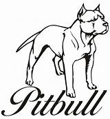 Pitbull Coloring Drawing Pages Puppy Dog Line Bulls Drawings Draw Printable Step Cartoon Chicago Pit Bull Easy Pitbulls Sketch Head sketch template