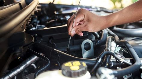 answer  basic car maintenance questions zoo