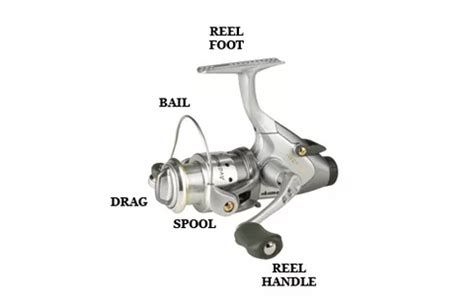 fishing tips  guides  reels ohero fishing products