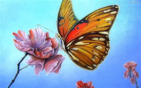 kwiat malarstwo motyl obraz motylek tapetytjapl