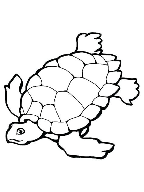baby sea turtle drawing    clipartmag