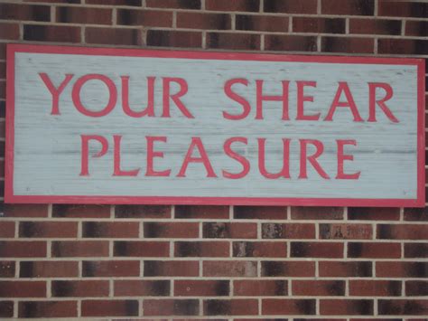 shear pleasure salon