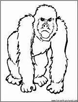 Coloring Pages Gorilla Animal Zoo Clipart African Animals Templates Printable Ape Printables Big Clip Color Five Kids Face Sheets Cliparts sketch template