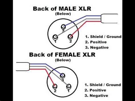 electric wiring diagram xlr xlr balanced pinout unbalanced jaazz prong ribuc xlr wiring diagram