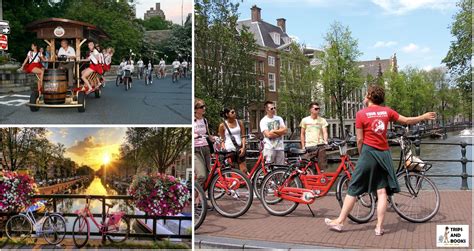 the 10 best things to do in amsterdam other than drugs