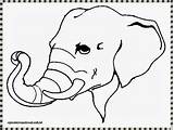 Mewarnai Gajah sketch template