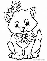 Kitten Coloring Pages sketch template