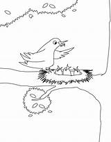 Coloring Designlooter Feeding Robin Babies Bird Her sketch template