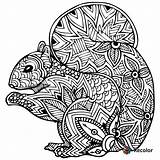 Zentangle Coloring Squirrel Pages Vector Stock Clipart Doodles Style Shutterstock Christmas Animal Zentangles Book Silhouette Mandalas Para Visit Clipground Getcolorings sketch template