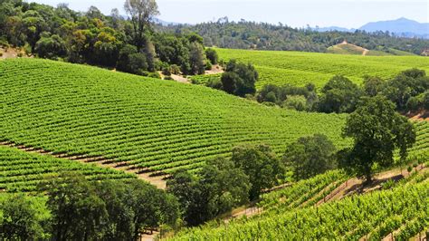 dry creek valley wine region  appellation