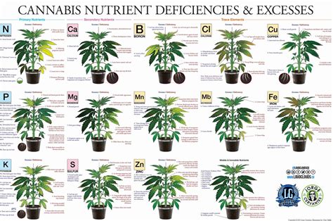 nutrient knowledge marijuana plant nutrient deficiency excess chart