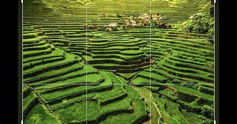 Rice Terraces Reference Album On Imgur