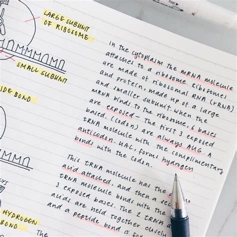 study notes super neatpretty handwriting rpenmanshipporn