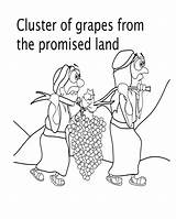 Joshua Caleb Spies Promised Grapes Canaan Iknow Colouring Twelve sketch template