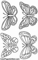 Schmetterling Malen sketch template