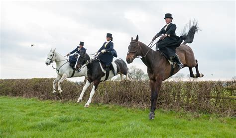 pin  side saddle