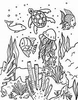 Coloring Ocean Pages Printable Fish Animal Summer Color Colouring Kids Animals Sheets Drawing Adult Museprintables Save Coral Reef Pdf Cute sketch template