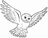 Coloring Owl Pages Flying Colouring Printable Kids Popular Gif sketch template