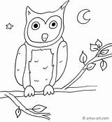 Coloring Owl Ausmalbild Printable Artus Eule Pdf sketch template