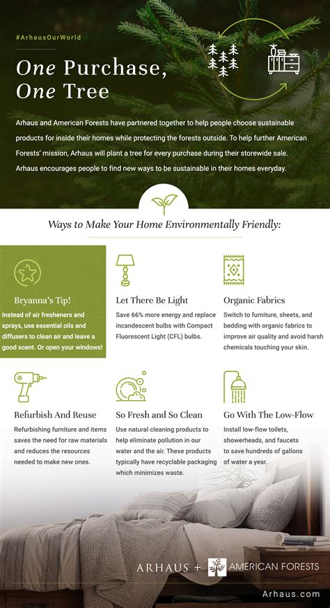 How To Make Your Home Environmentally Friendly