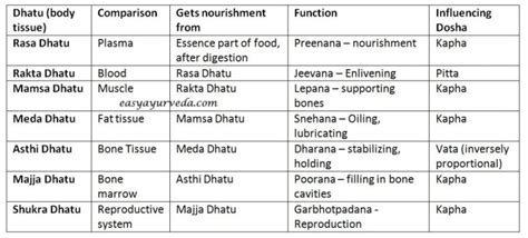 dhatu  body tissues  explained  ayurveda