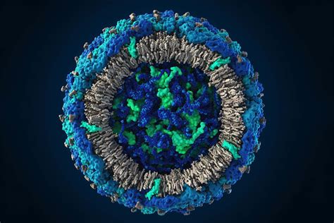 zika virus   close    scientist