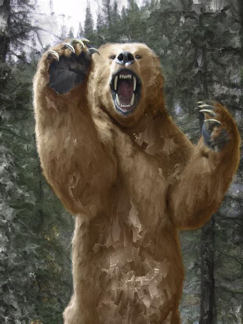 bear attack top hd wallpapers