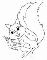 Squirrel Coloring Pages Flying Squirrels Cliparts Preschool Clipart Popular Kids Library Coloringhome sketch template