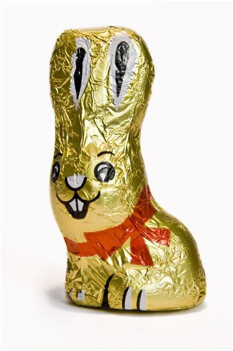 chocolate bunny  photo  freeimages