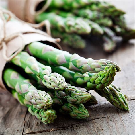 asparagus asparagus officinalis suba seeds company spa