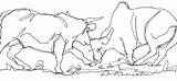 Bullfighting sketch template
