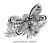 Dragonfly Vectorielle Tableau Doodle sketch template