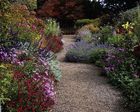 garden borders  ideas   perfect planting scheme real homes