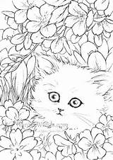 Coloring Pages Flowers Kitten Cat Sato Colouring Kittens Wiuff Mitzi Flower Kleurplaat Volwassenen Stress Anti Detailed Adult Printable Line Visit sketch template