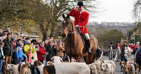 boxing day hunts thousands gather  controversial meets  protesters