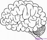 Brain Coloring Human Cartoon Colouring Pages Draw Drawing Outline Library Clipart Never Again Comments Getdrawings Clip sketch template